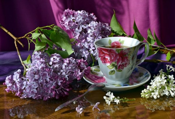 Чайная чашка сирень