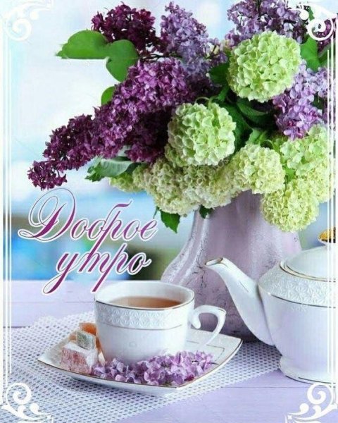 Доброе сиреневое утро