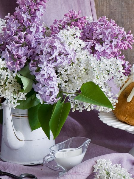 Красивый букет сирени