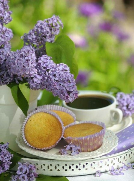 Весеннее чаепитие