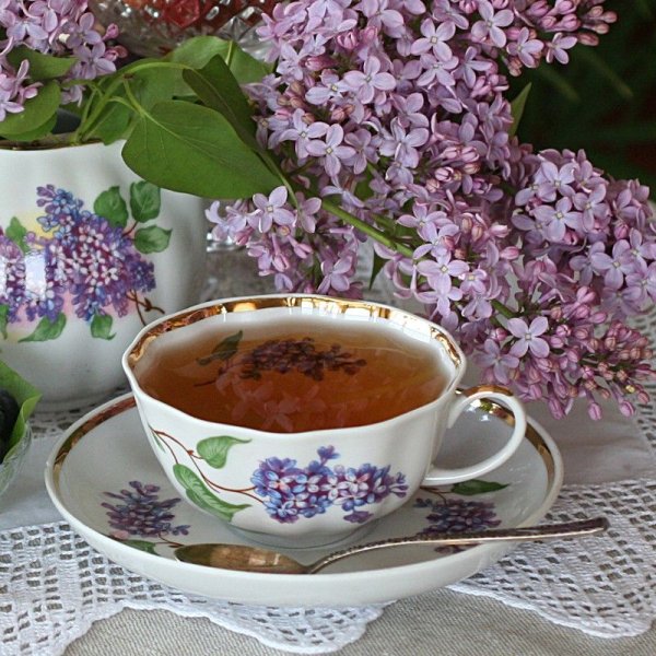Чашечка чая сирень