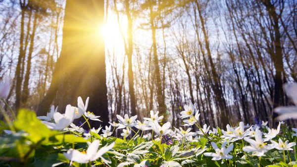 Весна в горах