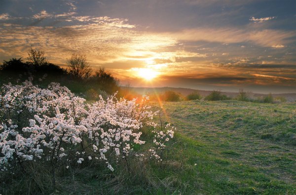 Красивая природа солнце