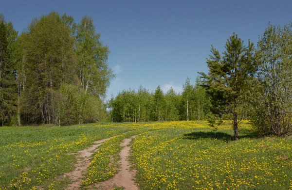 Заказник русский лес Ставрополь