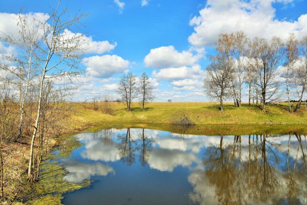 Русская природа весной