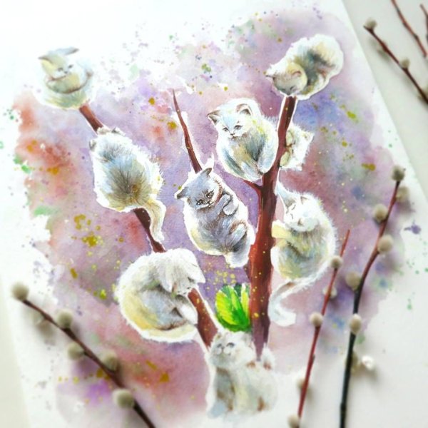 Ветка вербы акварель