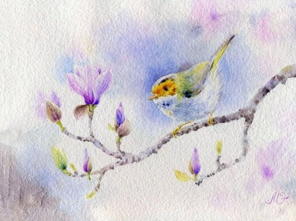 Весна акварельными карандашами