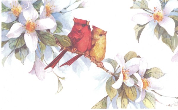 Цветы птицы акварелью