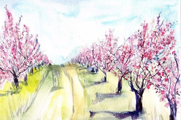 Акварель цветы Рэйчел МАКНОТОН