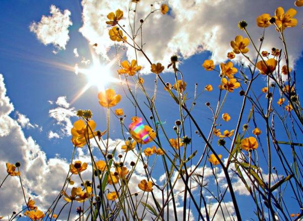 Наступила Весна