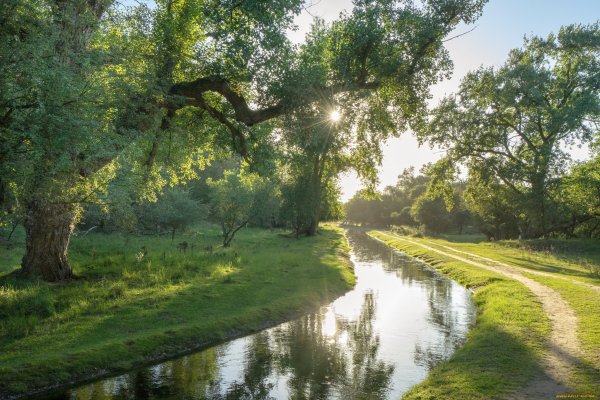 Летний пейзаж с рекой