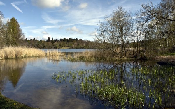 Весна природа река