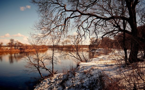 Весна природа