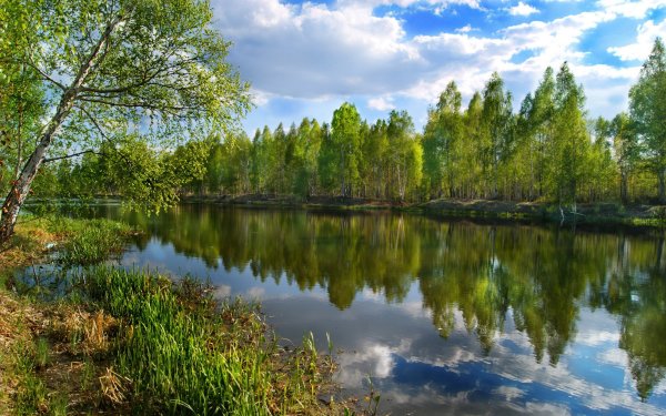 Пейзаж с рекой