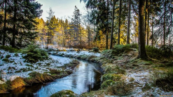 Пейзажи России