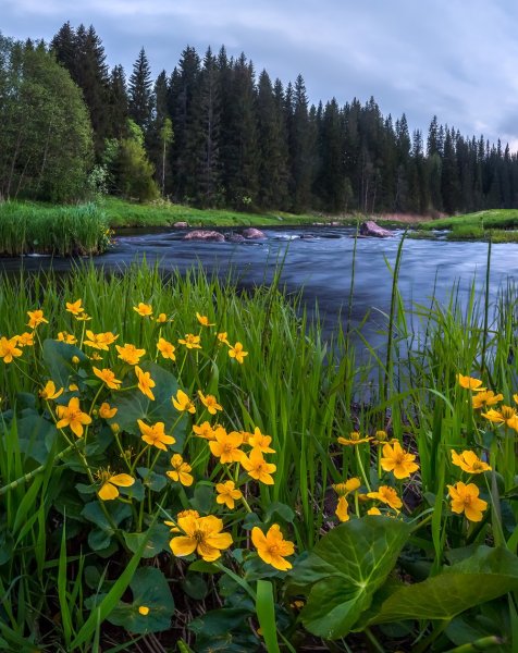 Аоста озера