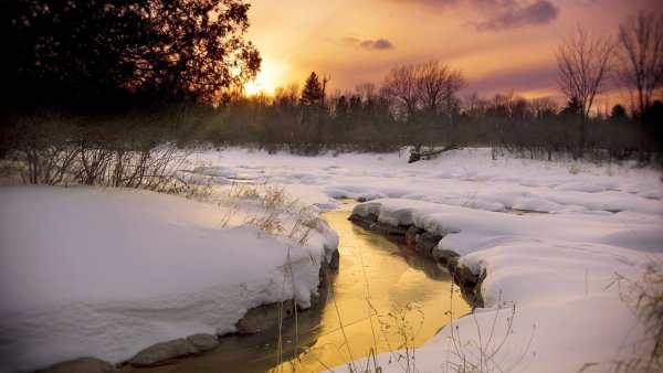 Березка у реки