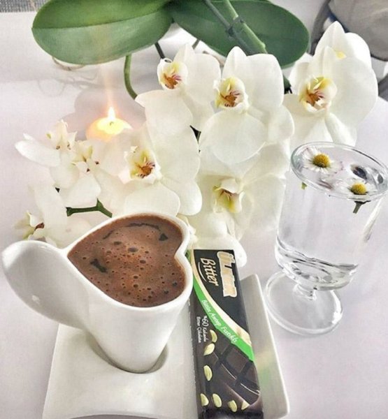 Сладости шоколад