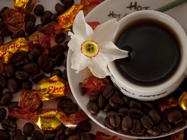 Поздравления с днем горячего шоколада