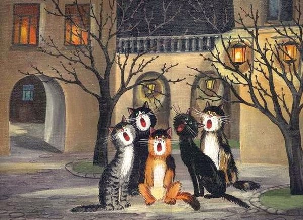 Кот на Сакуре