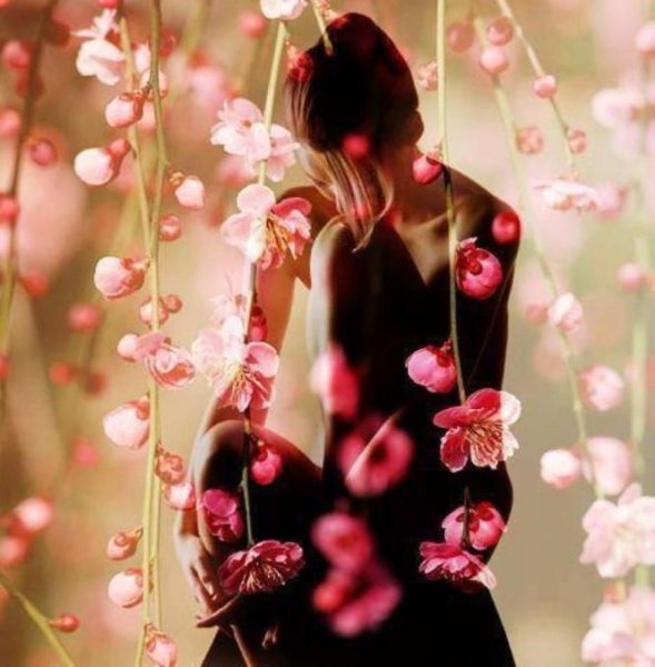 Цветы на счастье