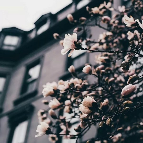 Эстетика весной