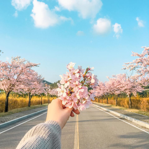 Корея природа Эстетика