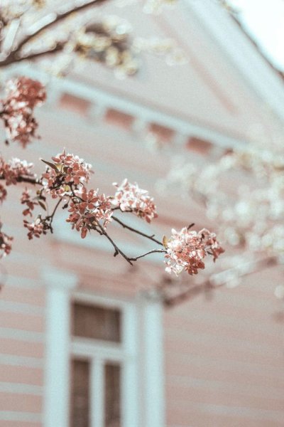 Весна Эстетика