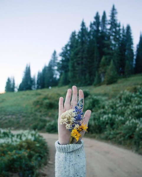 Руки природа Эстетика