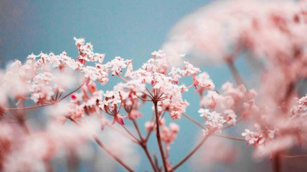 Весенний коллаж