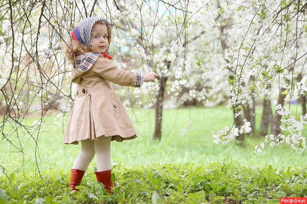 Дольче Габбана детская коллекция 2018