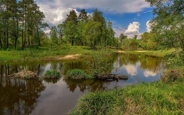 Весенний лес у реки