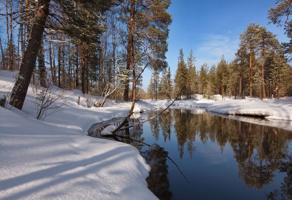 Весна в Карелии в лесу