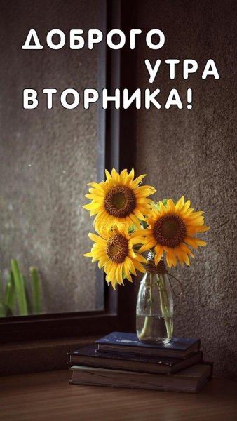 Доброго вторника