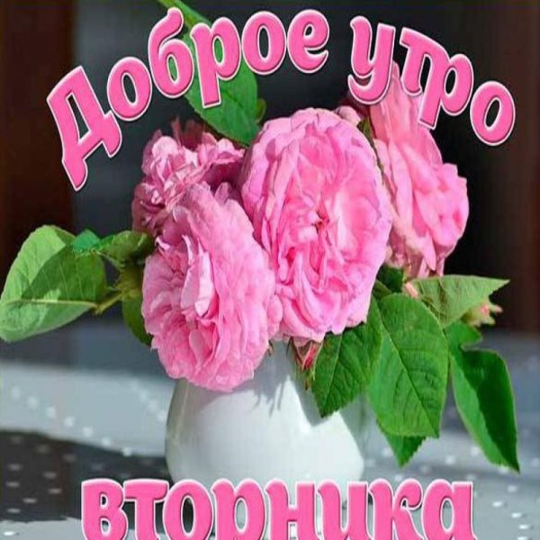 Открытки со вторником