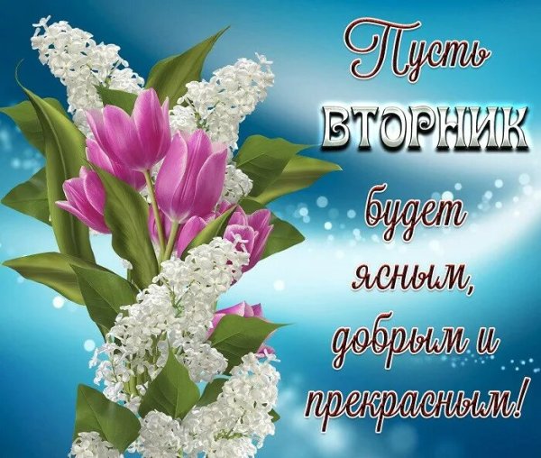 Пожелания на день вторник