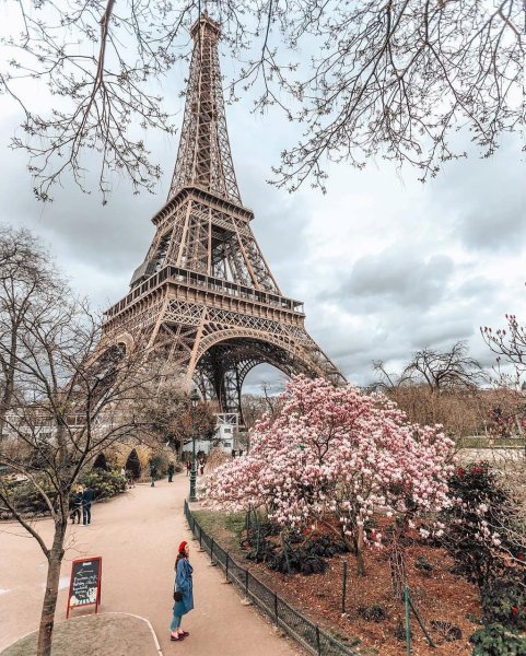 Париж Весна цветы