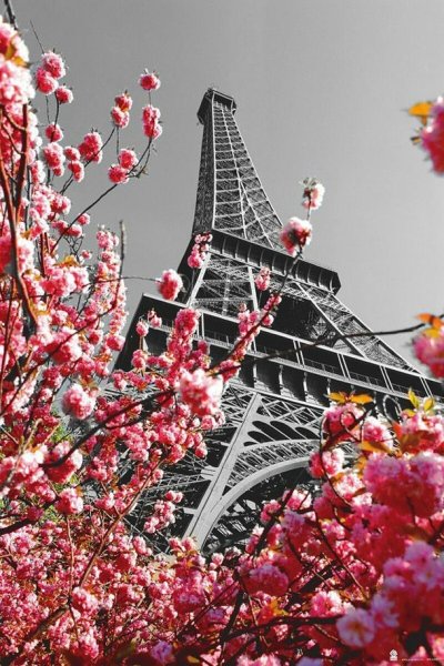 Красивый фон с Эйфелевой башней
