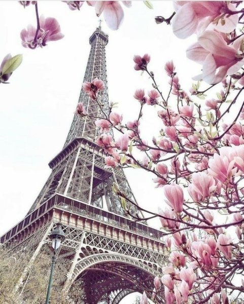 Пазл-часы Pintoo