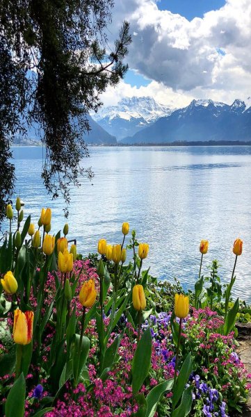 Весенние пейзажи природы