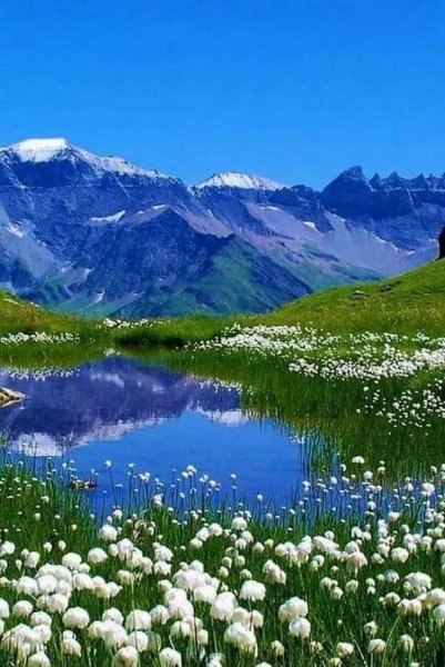 Альпийские Луга Альпы