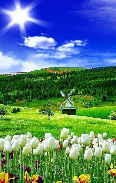 Красивая яркая природа