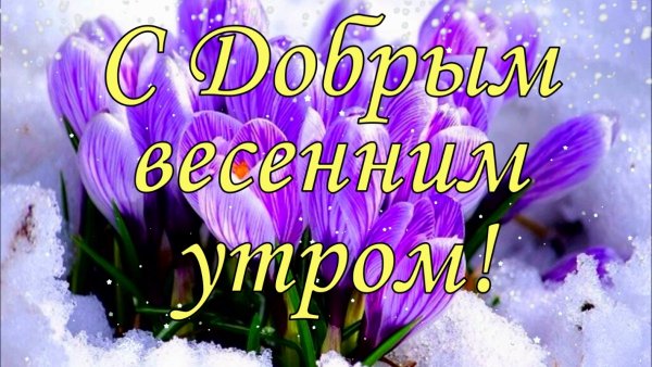 Доброе Весеннее утро