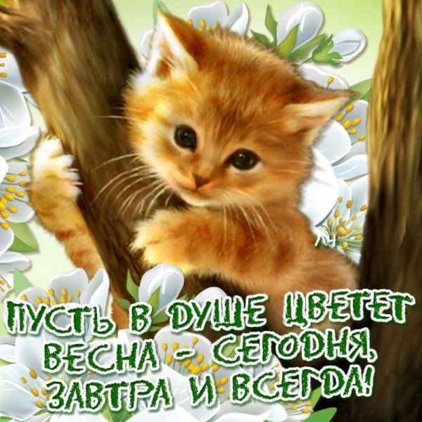 Открытки с добрым утром весенние