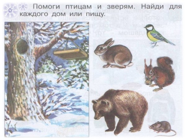 Жизнь животных весной для детей