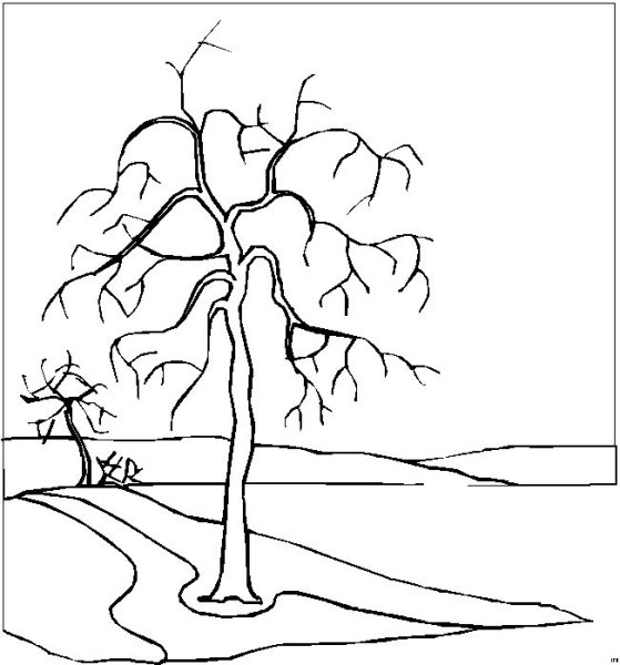 Весеннее дерево раскраска для детей