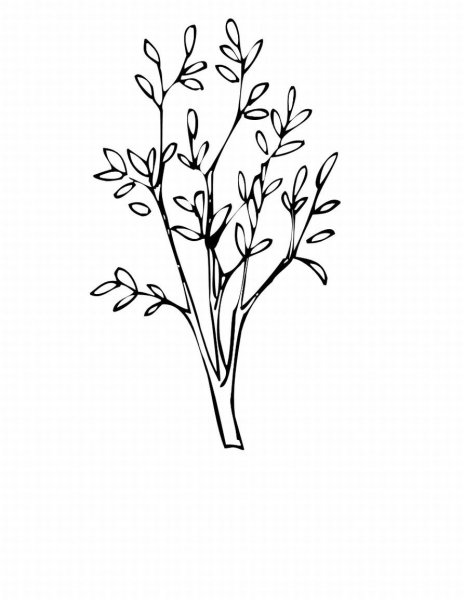 Красивое дерево раскраска