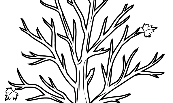 Дерево раскраска для детей