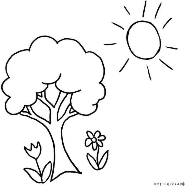 Береза раскраска