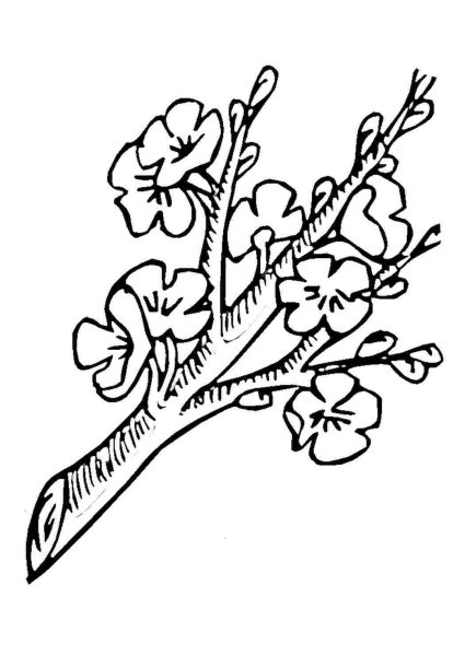 Дерево для вырезания